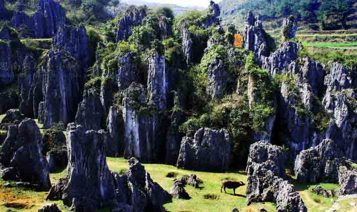 銅仁最美的10大景區:除了梵凈山之外,還有哪里值得一去?
