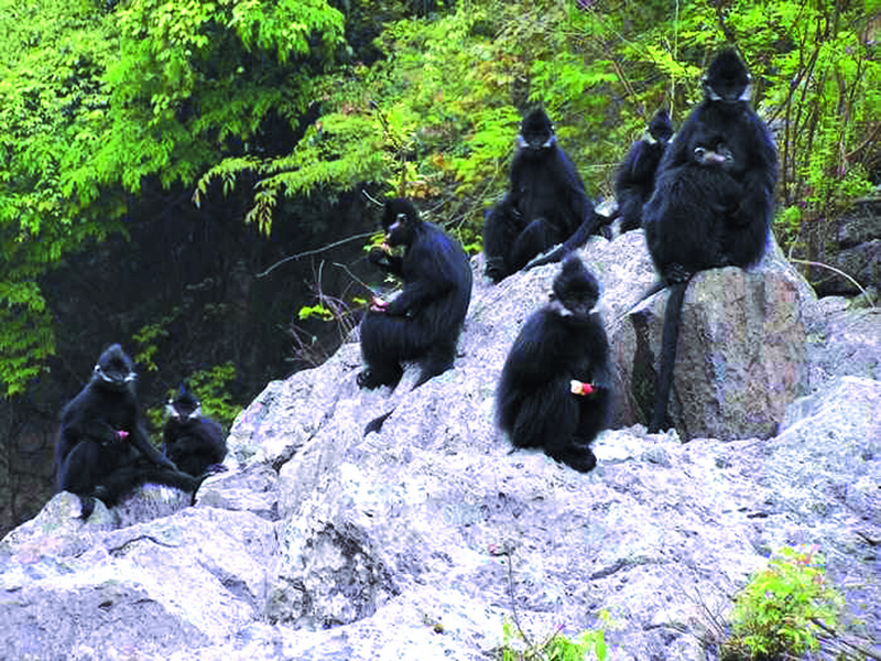 銅仁最美的10大景區:除了梵凈山之外,還有哪里值得一去?